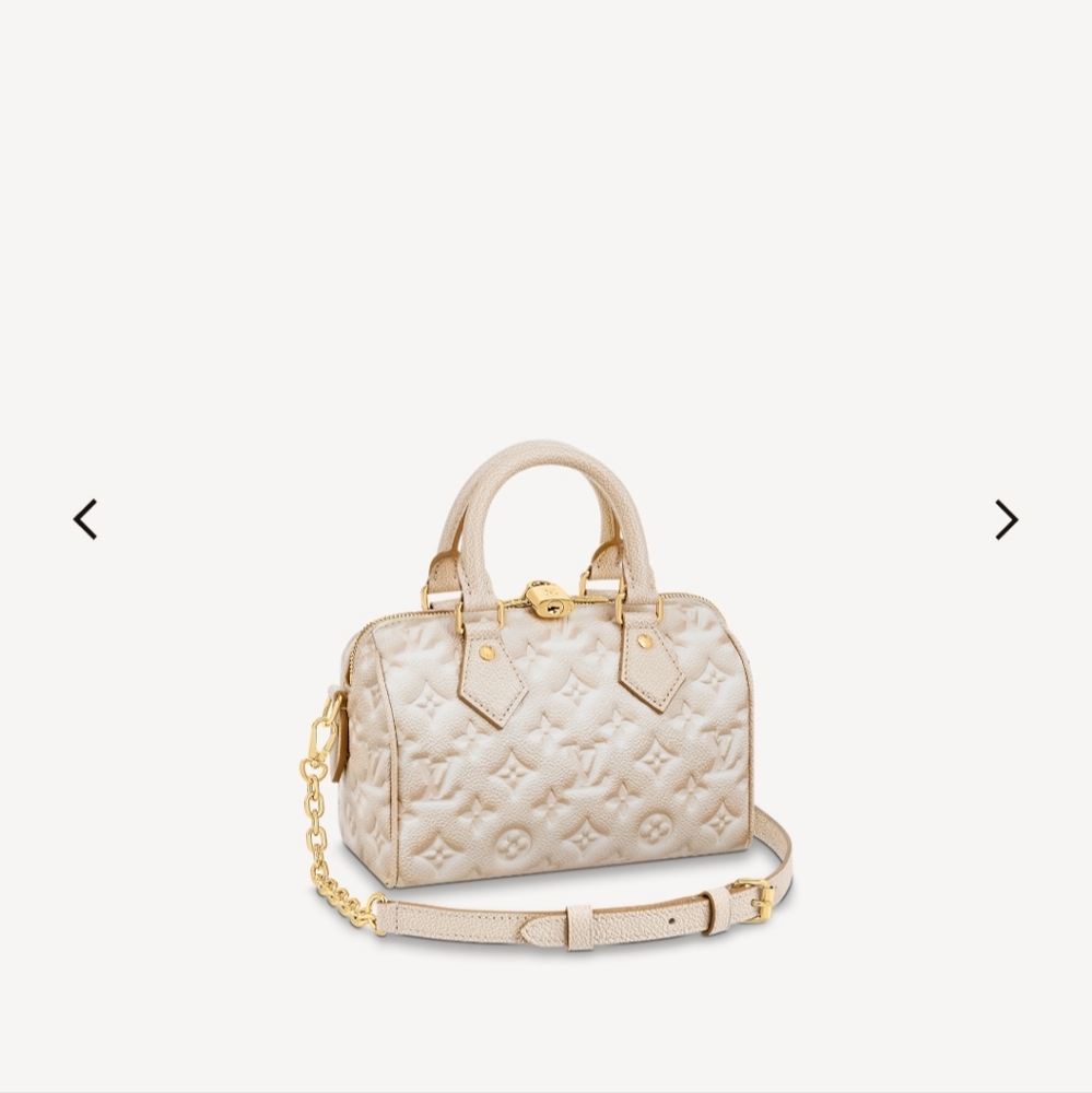SOLD OUT NWT Louis Vuitton Stardust Speedy 20